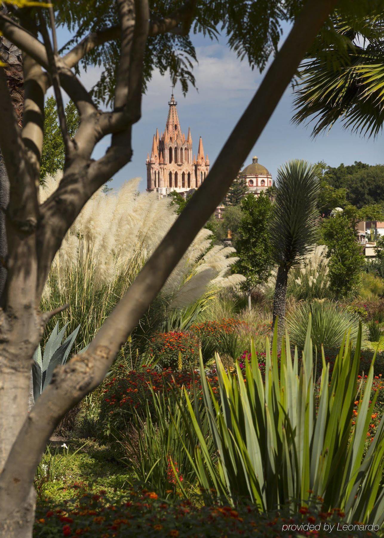 Hotel Rosewood San Miguel à San Miguel de Allende Extérieur photo